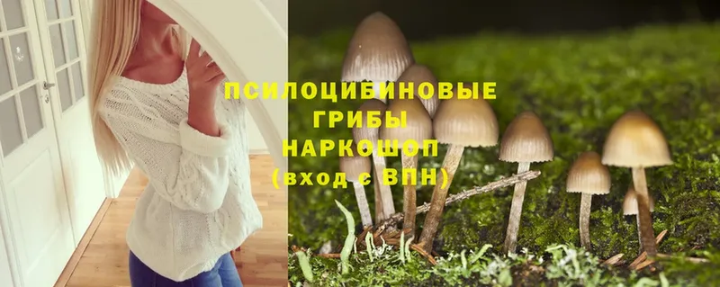 Галлюциногенные грибы Cubensis  Карабаново 